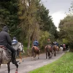 Tenuta Di Gospodarstwo agroturystyczne Corbara (Umbria)