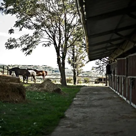 Séjour à la ferme Tenuta Di Corbara (Umbria)