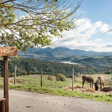 Tenuta Di Séjour à la ferme Corbara (Umbria)