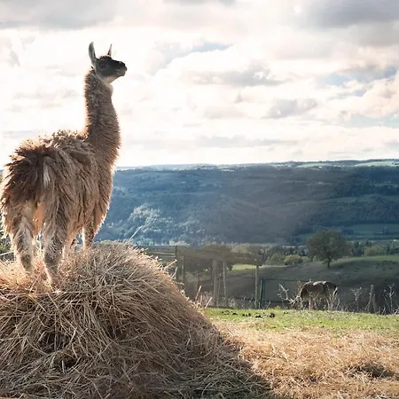Séjour à la ferme Tenuta Di *