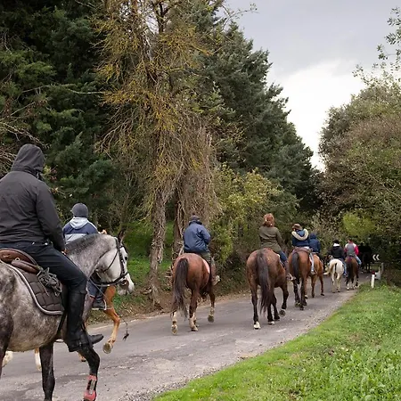 Tenuta Di Séjour à la ferme Corbara (Umbria)