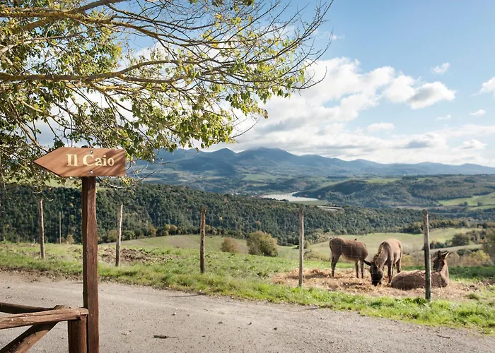 Tenuta Di בית חווה Corbara (Umbria)