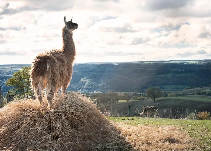 Alojamento de Turismo Rural Tenuta Di *