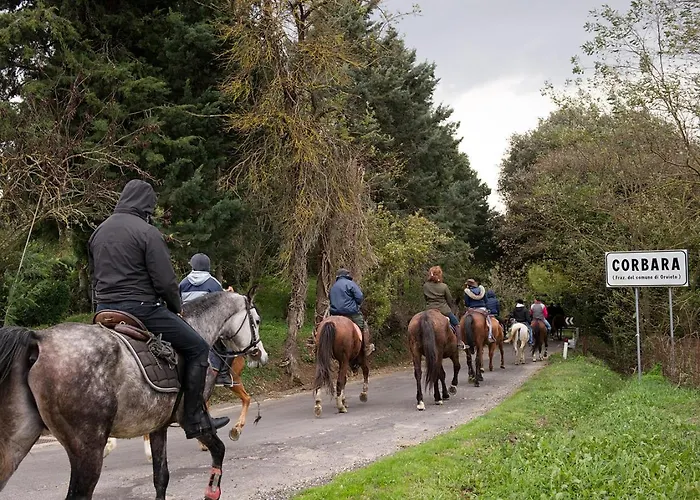 Tenuta Di Alojamento de Turismo Rural Corbara (Umbria)